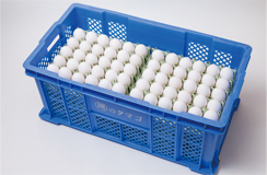 コンテナでの納品