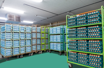 卵の集荷・搬入